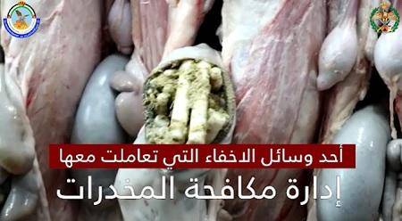 الأردن يضبط مخدرات داخل أحشاء خراف