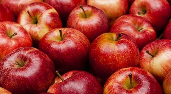 بشهادة الغذاء والدواء.. التفاح الاردني بريء