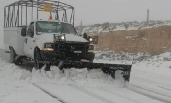 الزائر الأبيض يحل في مرتفعات معان