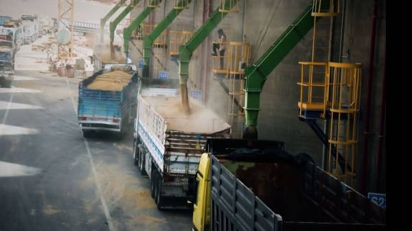 الأردن لم يستورد أي كميات من القمح والشعير من أوكرانيا العام الحالي