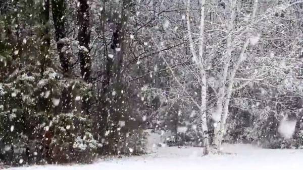 توقع تساقط الثلوج فوق المرتفعات التي تزيد عن 900 متر غدا