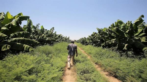 وزير الزراعة يعلن عن فرص استثمارية ضمن الخطة الوطنية للزراعة المستدامة