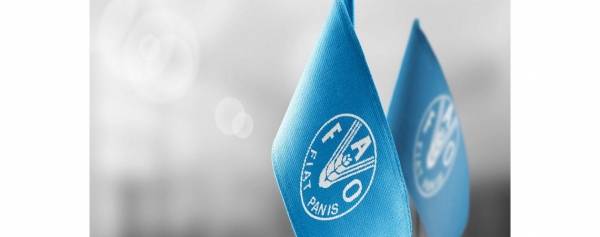 الفاو تعلن جمع 1.8 مليار يورو لمكافحة المجاعة في غرب إفريقيا والساحل