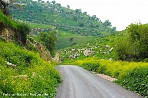 آخر مستجدات الحالة الجوية اليوم الثلاثاء