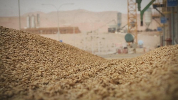 البنك الدولي يدرس مقترحا لتمويل مشروع أردني يعزّز الأمن الغذائي