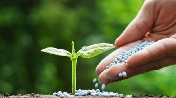 الأسمدة الاردنية تحظى بأهتمام وزير الزراعة البرازيلي