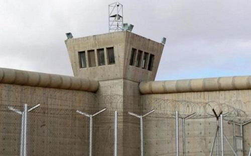 4381 زيارة خاصة لنزلاء مراكز الإصلاح والتأهيل خلال ايام العيد