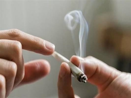المكافحة: الحشيش يُضعف القدرة الجنسية ويفتح باب الشك بالزوجة