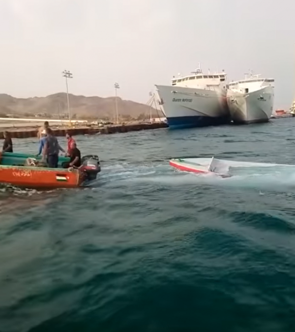 البحرية تنقذ صيادين في العقبة بعد محاولتهما اصطياد حوت ضخم  فيديو