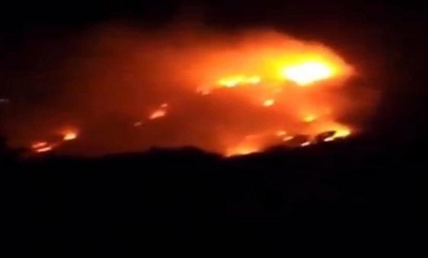 البيئة تكشف خسائر حريق محمية غابات اليرموك