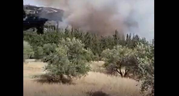 حريق كبير في أحراش الكمالية  فيديو