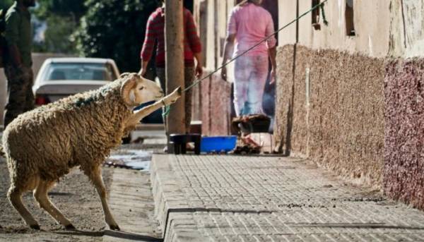 الجمعية الفلكية الأردنية تعلن أول أيام عيد الأضحى