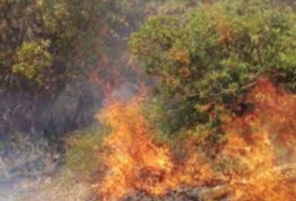 تعويض المزارعين من حرائق الاحتلال خلال 60 يوم