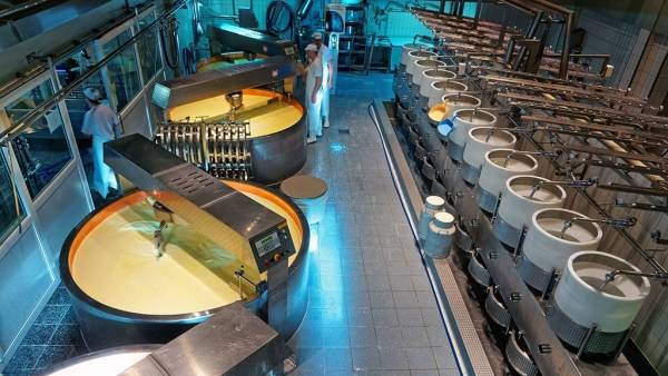 شركات ألبان تتسرب إلى جيب المواطن .. والصناعة والتجارة تترقب بداية الأسبوع !