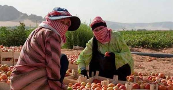 ما الحل بالنسبة لحقوق عمّال الزراعة وشمولهم بالضمان؟