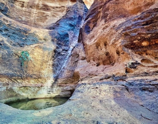 بريطانية تعثر على بركة صخرية مخفية في صحراء نيوم بالسعودية