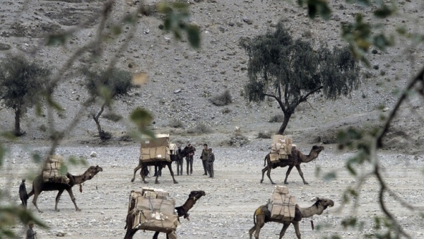 الخارجية الروسية: الغرب يعيق وقف إنتاج المخدرات في أفغانستان