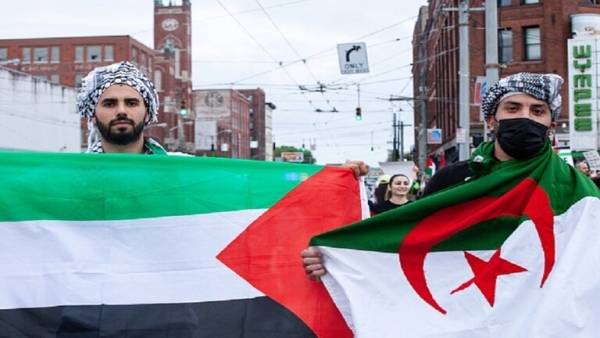 فيديو مؤثر لمدرب منتخب الجزائر مع لاعب فلسطيني