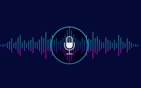 السوشيال ميديا تضج بتسجيلات منسوبة للباشا الحواتمة .. من المسؤول؟