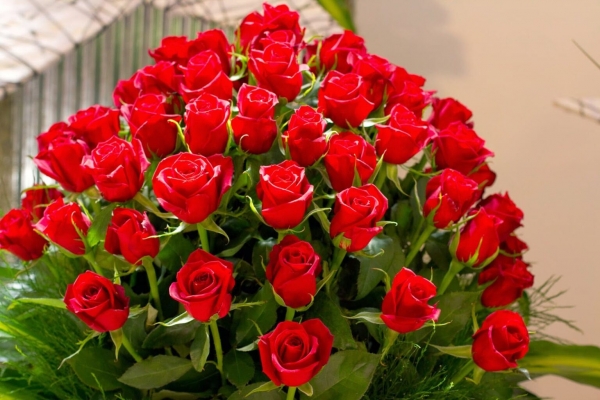10 آلاف وردة.. هدية أردنية لزوجها بمناسبة عيد ميلاده