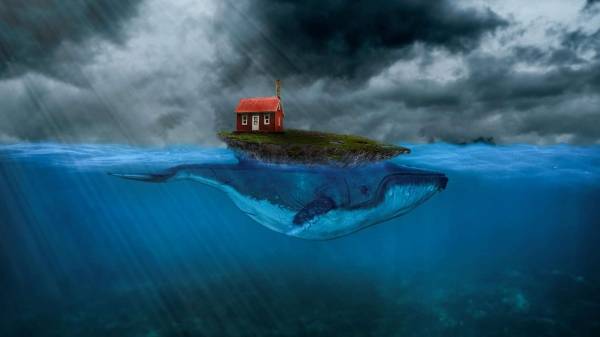 حوت صناعي كبير يعيش على الحليب المجفف المهرب أمام مفترق طرق