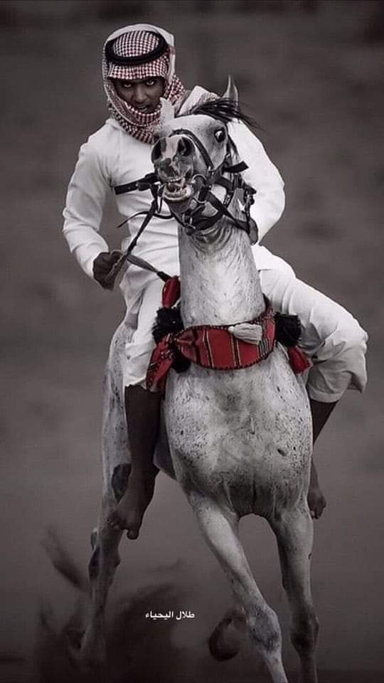 حمد شابع فشك وحمود شابع صيت