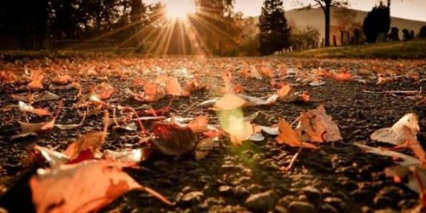 أجواء خريفية معتدلة السبت وحالة من عدم الاستقرار الأحد