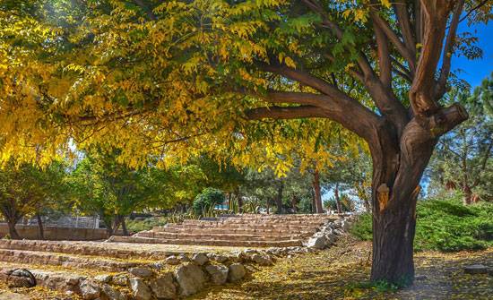 استمرار الأجواء المعتدلة نهار الاربعاء