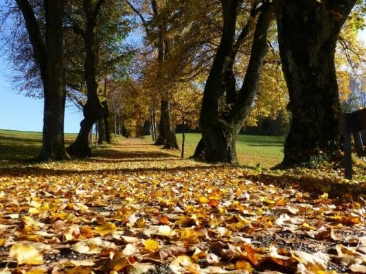 أجواء خريفية لطيفة الخميس.. وطقس معتدل في المملكة