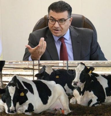 البقرة التي أصابت وزير الزراعة بالحمى .. ونقيب الصحفيين يعتبر اتهامات الحنيفات باطلة
