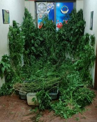 خيمة لبيع المخدرات في البلقاء