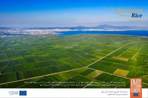 الأرز الأوروبي.. جودة فائقة في السوق الأردني
