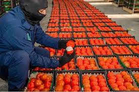 الزراعة: لم نتلق أي بلاغات من السعودية حول تهريب مخدرات عبر إرساليات زراعية أردنية