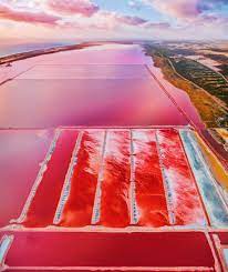 عالم وردي اللون.. ما سرّ وجود هذه البحيرة الحالمة على أرض أستراليا؟