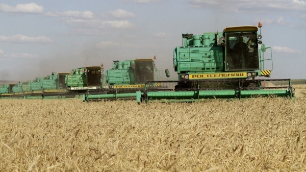 بوتين: القمح ببلاش لأفريقيا ..