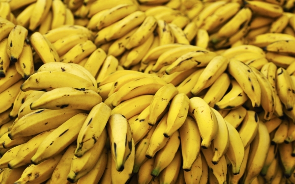 مزارعو وتجار الموز يناشدون الخصاونة ما يصدر من فئة قليلة يعمل على تدمير القطاع المحلي
