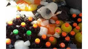 إتلاف كميات من اللحوم والمجمدات والعصائر في الزرقاء