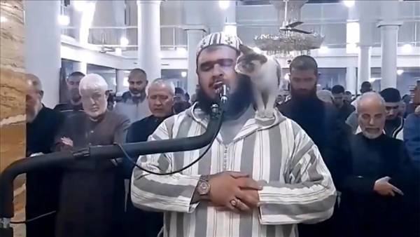 جمعية اسلامية اعتبرت أن لقطة فيديو الامام والقطة هزمت دراما رمضان