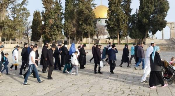 788 مستوطنا اقتحموا الأقصى منذ ساعات الصباح