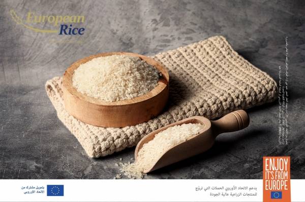 الأرز الأوروبي .. من حقول اليونان الخصبة إلى مائدتك