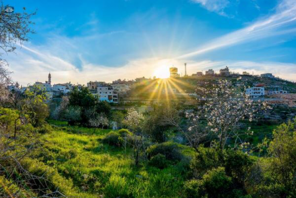 أجواء مشمسة ومعتدلة في معظم المناطق الأربعاء