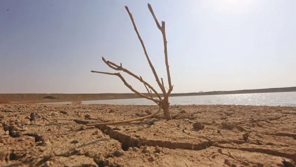 15 من مزارعي الأردن أمام خيارٍ واحد لمواجهة التغير المناخي