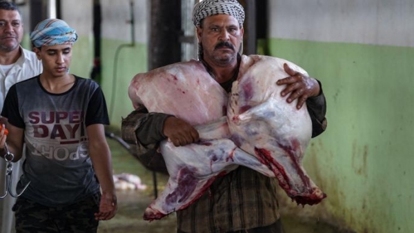 لحم حمير بدل البقر.. عراقيون متخوفون من تناوله بعد ضبط 50 حماراً في ملحمة