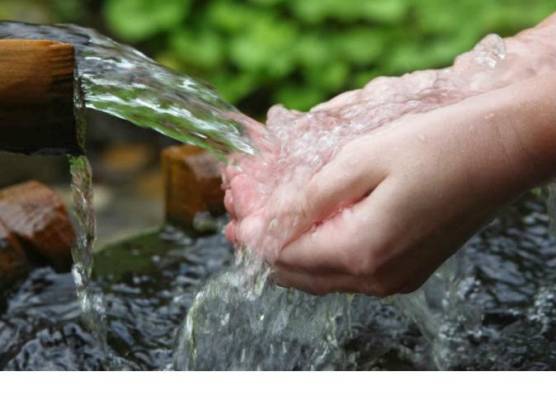 كميات المياه في الطفيلة تكفي للإنسان والنبات والحيوان .. فلماذا تنقطع؟