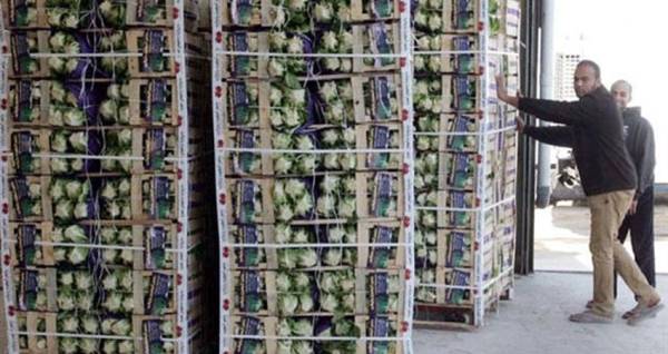 تجار المواد الزراعية يطالبون الحكومة بفتح خط التصدير عبر سوريا