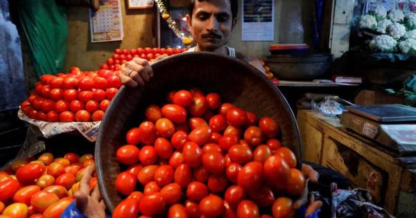 الطماطم هدف اللصوص الجديد في الهند