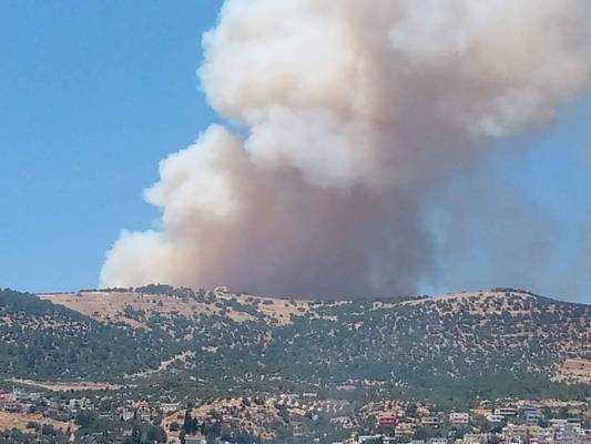 حنيفات: الحريق في وديان الشام من النوع التاجي