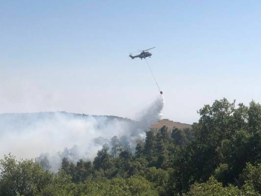 فريق لحصر أضرار حريق عجلون وجرش