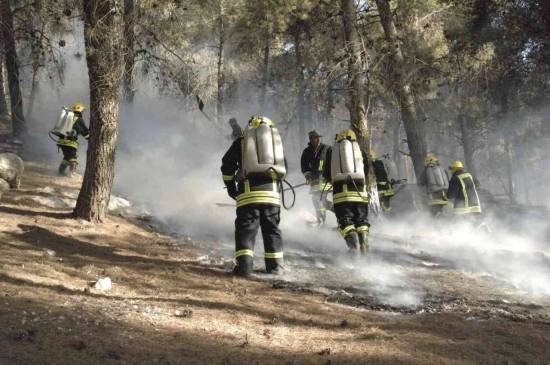 ارتفاع بلاغات حرائق الأعشاب الى 100 الأسبوع الماضي