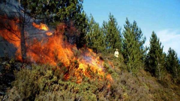 القبض على المشتبه بتسببه بإشعال الحرائق في جرش وعجلون